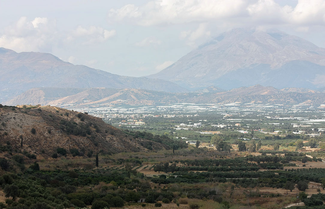 Phaestos